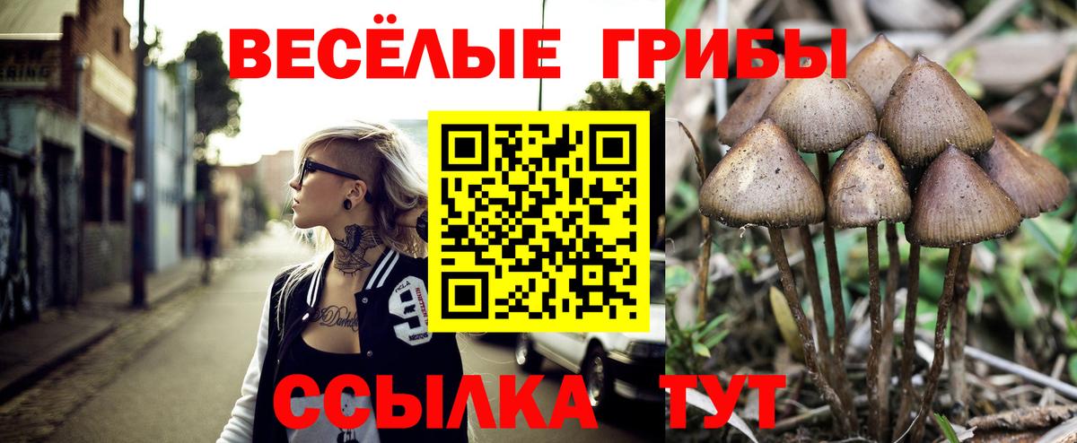 Псилоцибиновые грибы MAGIC MUSHROOMS Новошахтинск